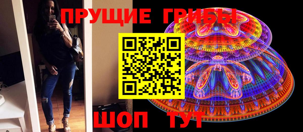 Псилоцибиновые грибы Cubensis Барабинск
